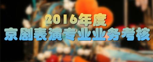 黄骚片视频国家京剧院2016年度京剧表演专业业务考...